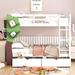 Bunk Bed with a Tree Decor and Two Storage Drawers