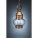 Northeast Lantern Onion 15 Inch Tall Outdoor Hanging Lantern - 2032-AC-MED-CLR