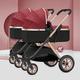 Double Seat Twin Baby Stroller Luxury Carriage Tandem Pram Side by Side,Detachable Pushchair from Birth to 15 Kg,Infant Twins Stroller Can Sit Lie (Color : Red)