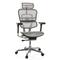 Bürostuhl / Chefsessel ERGOHUMAN GEN2 Netzstoff hellgrau hjh OFFICE