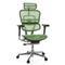 Bürostuhl / Chefsessel ERGOHUMAN GEN2 Netzstoff grün hjh OFFICE