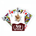 Animal Paper Break Shocks Chihuahua Peek Poker Playing Card Private Game