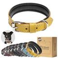 Filbert Padded Leather Dog Collar for Large Dogs Medium & Small Dogs Leather Collar for Dogs Yellow Dog Collar +12 Colors Genuine Leather Dog Collars + Leather Lining Luxury Dog Collar
