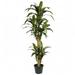 Nearly Natural 5 in. Yucca Silk Plant - Green 5 ft