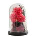 Women Gifts Idea Birthday Unique Gifts For Mom Anniversary Rose Gift Decorations Beauty And The Beast Rose Flowers Artificial Flower Gift Romantic Black Silk Rose Flower In Glass Dome - Red