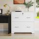 White 2-Drawer Lateral File Cabinet with Wheel for Home Office White