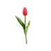 JPLZi Artificial Flowers Tulips Flowers Silk Flowers Real Looking With Stems For DIY Wedding Bouquets Centerpieces Arrangements Party Realistic Artificial Flowers Realistic Artificial Flowers Indoor