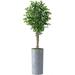Artificial Tree In Contemporary Geometric Pattern Planter Fake Ficus Silk Tree For Indoor And Outdoor Home Decoration - 75 Overall Tall (Plant Plus Tree)