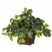 Nearly Natural Pothos with Coiled Rope Planter Silk Plant - Green 17in. x 22in. x 18in.