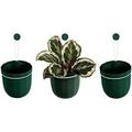 loop hanging wall planter indoor flowerpot hanging planter for indoor and outdoor planting mount on wall or ceiling (forest 3 pack)