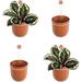 loop hanging wall planter indoor flowerpot hanging planter for indoor and outdoor planting mount on wall or ceiling (terracotta 4 pack)