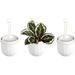 Hanging Planter Indoor Flowerpot Hanging Planter for Indoor and Outdoor Planting Mount or Ceiling (White 3 Pack)