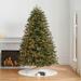 Windsor Noble Fir Full Profile Tree - 9' - Frontgate - Christmas Tree