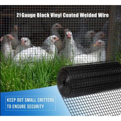 Black Welded Wire Fence Supports Poultry-Netting Cage