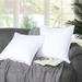 Microfiber Square Down Alternative Euro Bed Pillow Inserts (Set of 2) - White