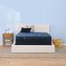Serta Perfect Sleeper Radiant Rest 14" Hybrid Plush Mattress Set
