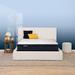 Serta Perfect Sleeper Midsummer Nights 11" Plush Euro Top Mattress Set