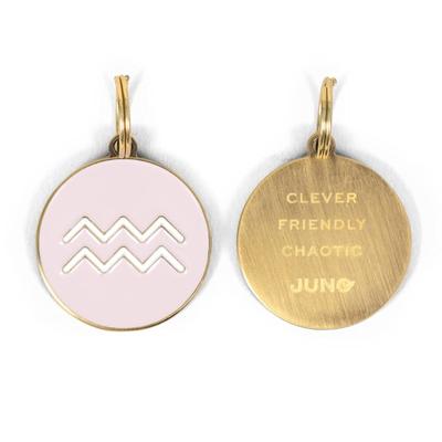 Aquarius Enamel Zodiac Dog Tag, Pink / Gold