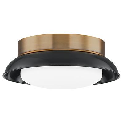 Troy Arnie 28.5In 2 Light Flush Mount