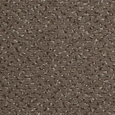 Teppichboden VORWERK "Passion 1006 (Riva), Velours - gemustert, Made in Germany", braun, B:400cm H:6,7mm L:800cm, Polyamid, Teppiche, Wohnzimmer, Schlafzimmer, Kinderzimmer, Breite 400/500 cm