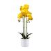 PEACNNG New Artificial Triple Flower Handmade Thai Orchids Plants for Elegant Phalaenopsis potted plant home accessories decoration Decor and Lasting Beauty
