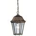 HTYSUPPLY 9805TZ Madison Outdoor Pendant 1-Light Tannery Bronze