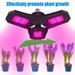 Myriann LED Grow Light 108 126 144 LED s Full Spectrum Plant Light Foldable LED Grow Light for Flower Succulents Garden Growing-126 Beads