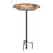 Red Barrel Studio® Carya Greek-Inspired Birdbath Metal/Copper in Brown | 33 H x 18 W x 18 D in | Wayfair B8939B4547214A7B826D64E075D923F7