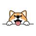 Winston Porter Cute Shiba Inu Dog Paws Up Over Wall, Dog Face Cartoon | 30 H x 30 W x 1.25 D in | Wayfair 2159F9EF64924A9E8E1F46C26F636000