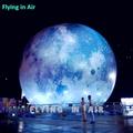 Party Balloons Giant Inflatable Moon Ball 3m(10ft)/6m(20ft) Air Blow Up Satellite Lighting Inflated Moon with LED Light