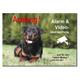 Rottweiler-Alarm + Video überwacht-Hund--Aluminium Dibond-Schild-3 Größen--15 x 10 - 20 x 15 - 30 x 20 cm--Warnschild-Hundeschild-HT*1451-80