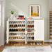 Modern 2-Door Shoe Storage Cabinet with 4-Shelf Adjustable for Entryway