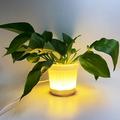 Viadha Led Plant Pot Modern Led Flower Pot Led Lighted Planter Illuminated Planter for Succulents And Small Plants - Suit for Home Or Office Decor