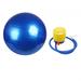 Balance Ball Chair Pilates Ball Non Slip Heavy Duty with Pump Exercise Ball Yoga 75cm Blue