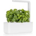 Indoor Herb Garden Kit with Light | Garden for Home Kitchen Windowsill | Easier Than ing System | Vegetable Gardening (3 Basil Pods Included) White