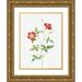 Redoute Pierre Joseph 25x32 Gold Ornate Wood Framed with Double Matting Museum Art Print Titled - Rose Indica Stelligera Bengal Star Rosa indica stelligera