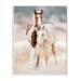 Stupell Industries Calm Horses in Muted Beige Meadow Photograph Design by PHBurchett