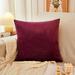 KYAIGUO Room Decor Throw Pillow Covers Cushion Cases High-Quality PP Cotton Filling Good Resilience for Sofa Bed (Purple)