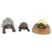 Cycle Growth Life Animal Model Turtle Turtle Figurine Toy Stages Animal Figurines Animals Model Figure A Gowth Figurines