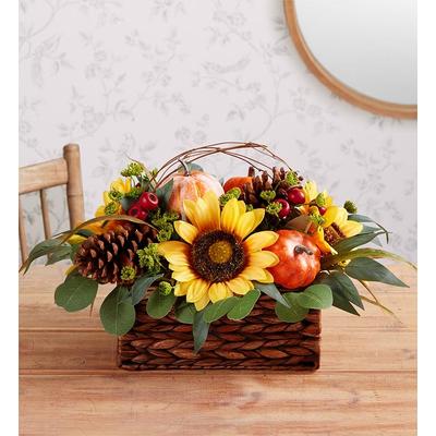 1-800-Flowers Flower Delivery Wild Sunflower & Pumpkin Centerpiece Wild Sunflower Centerpiece