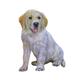 Golden Retriever Puppy Plaque - Golden Retriever Puppies - Golden Retrievers - Golden Retriever Plaques PK1-P