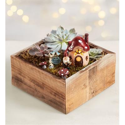 1-800-Flowers Plant Delivery Welcome Gnome Succulent Garden