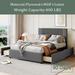 Red Barrel Studio® Perino Platform Bed w/ Classic Headboard & 4 Drawers, Linen Fabric Upholstered/Linen in Gray | Wayfair