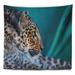 East Urban Home African Vigilant Leopard Close Up View Tapestry Metal in Black/Gray | 32 H x 39 W in | Wayfair 1EF37626DD7B405ABAECB9C008EC4E7B