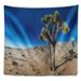 East Urban Home Landscape Joshua Tree in Open Desert Tapestry Metal in Blue/Gray | 32 H x 39 W in | Wayfair 25C20D319A2B4A81AB6AC1EEBF45F4B9