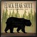 Loon Peak® Take A Hike Bear Black Bear Stout By Ryan Fowler, Framed Wall Art Canvas, Glass in Black/Green | 30.8" H x 30.8" W x 1.5" D | Wayfair