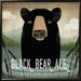 Loon Peak® Skinny Dip Black Bear Ale By Ryan Fowler, Framed Wall Art Paper, Glass in Black/Green | 19.6" H x 19.6" W x 1.5" D | Wayfair