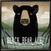 Loon Peak® Skinny Dip Black Bear Ale By Ryan Fowler, Framed Wall Art Paper, Glass in Black/Green | 30.8" H x 30.8" W x 1.5" D | Wayfair