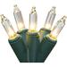 The Holiday Aisle® 100-Count Clear Mini Christmas Light Set 49.6ft Green Wire in Green/Brown | 1 H x 595.2 W x 1 D in | Wayfair