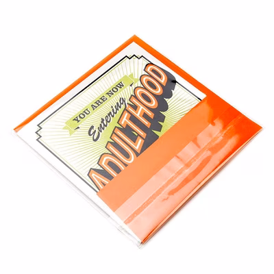 Secure Flap Closure Clear Plastic Bags For 5" Square Envelopes Bag Size: 5 3/16" x 5 1/16" 100 Bags Crystal Clear Bags